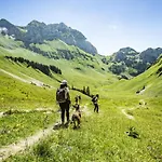 Bellevue Bl42 Charming & Mountain 6 Pers * Châtel