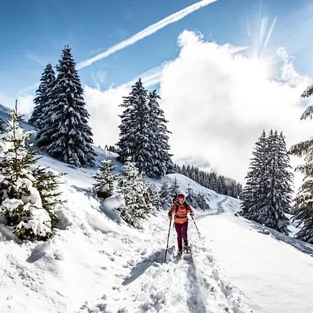 Bellevue Bl42 Charming & Mountain 6 Pers Lejlighed *