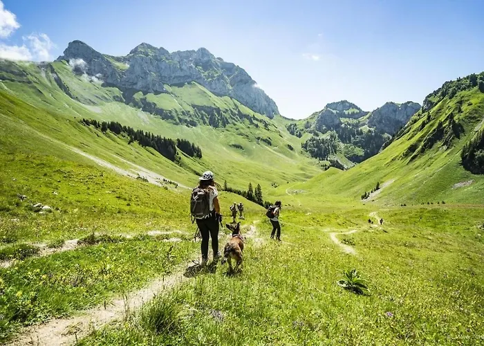 Bellevue Bl42 Charming & Mountain 6 Pers * Châtel